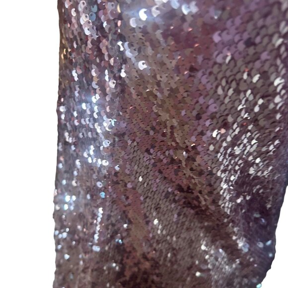 NWOT Rose Gold short sleeve sequin mini swing shift dress; SZ M; Nude Lining - Picture 3 of 8